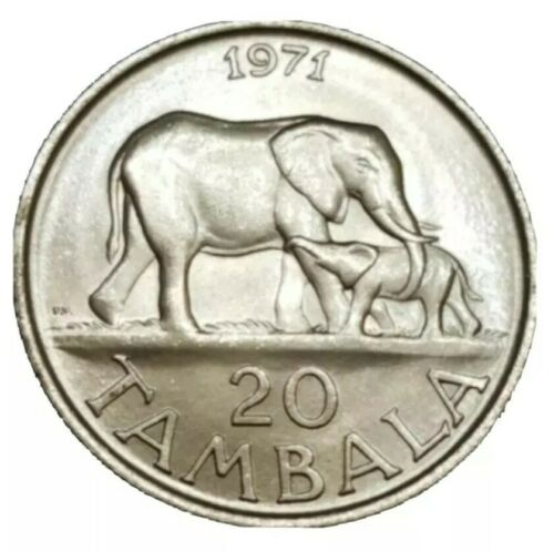 1971 Malawi Unc 20 Tambala African Elephants Animals Safari Coin Km 11.1 Scarce