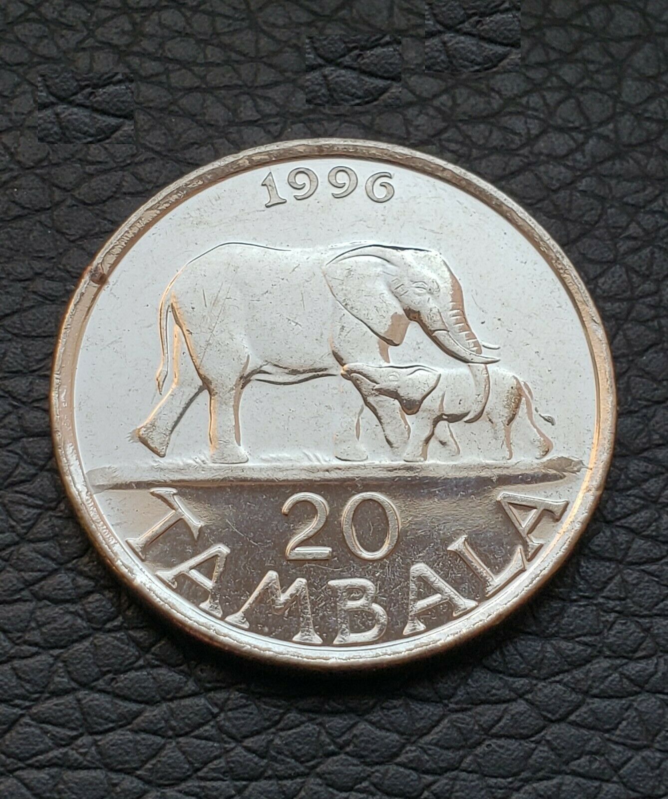 1996 Malawi 20 Tambala Coin